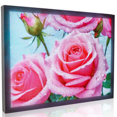 LED display screen showing a close-up of pink roses.