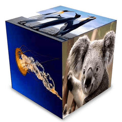 Leadleds Outdoor Led Cube Display HD Video Advertising Panel