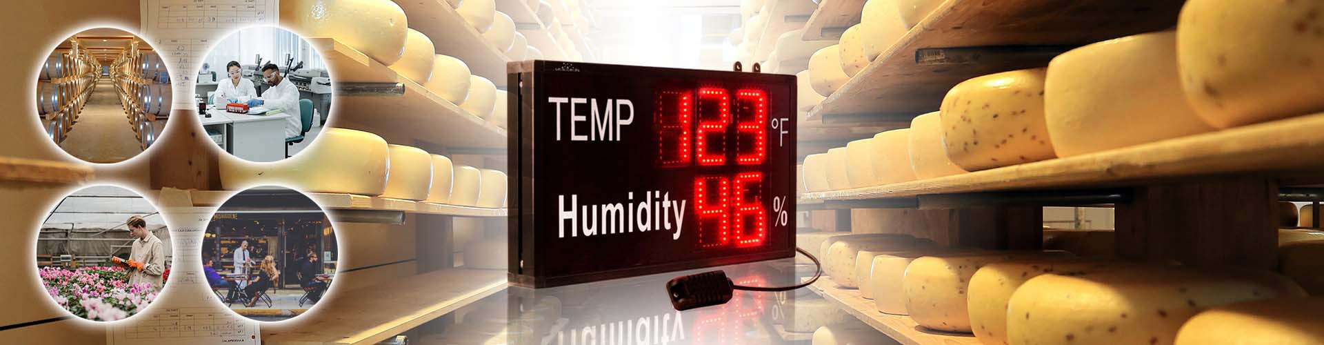Digital Thermometer and Humidity Monitor