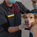 Programmable led display tag