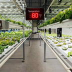 greenhouse temperature display