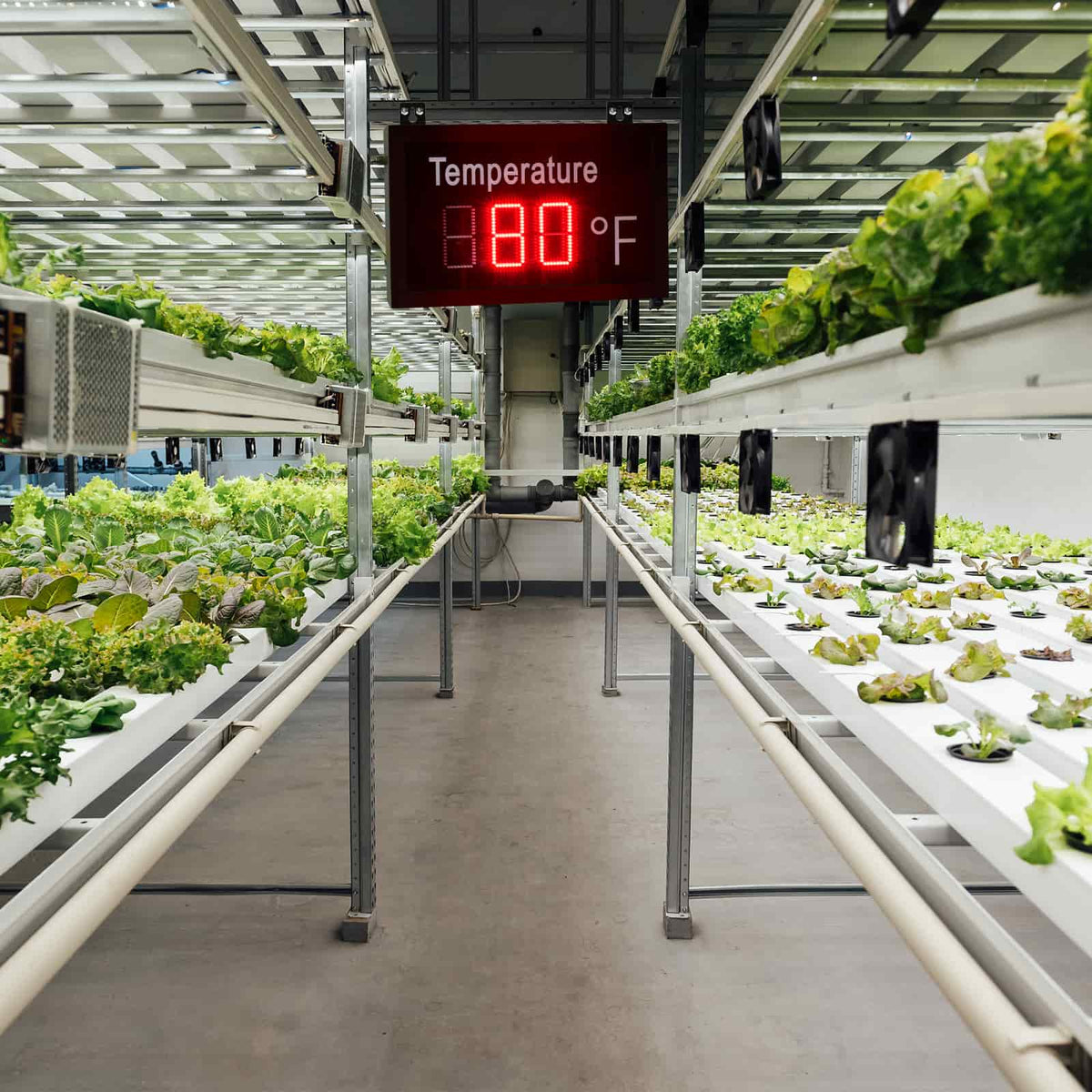 greenhouse temperature display