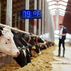 Four digit commercial LED display for showing time or temperature