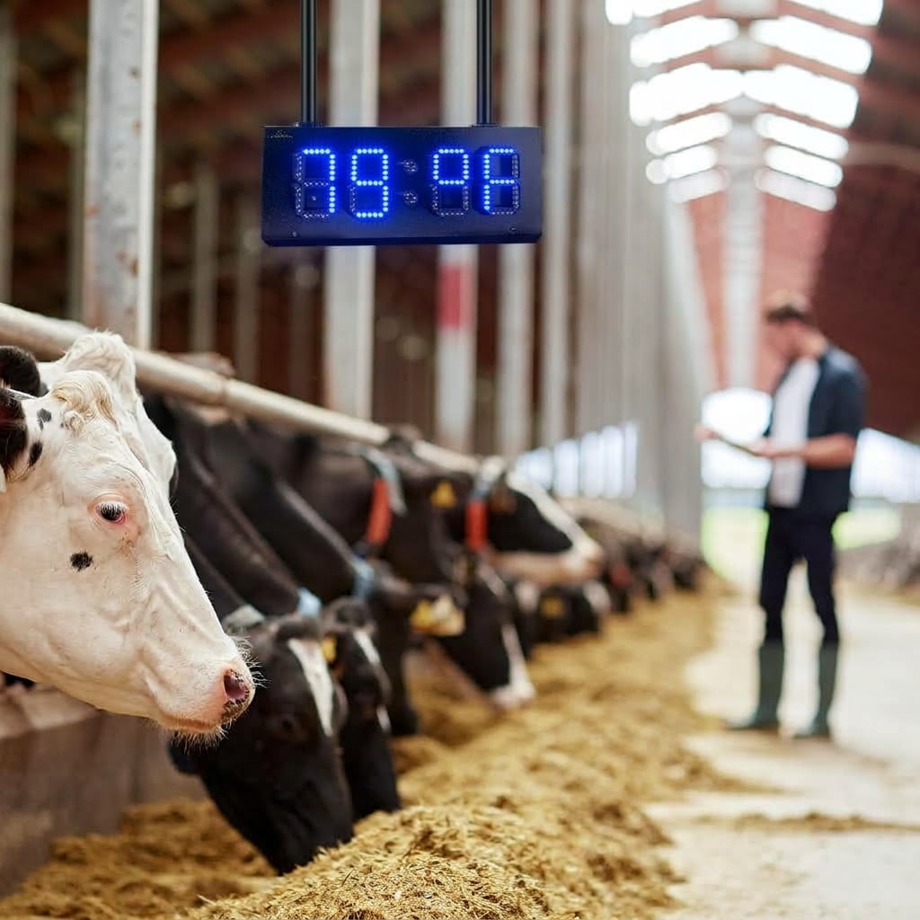 Four digit commercial LED display for showing time or temperature