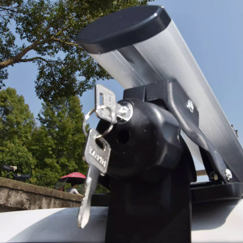Close-up of a key inserted into a lock on a vehicle, with trees and sky in the background.