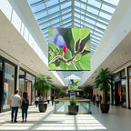 Transparent Screen Film