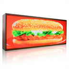 Visual_Display_Technology