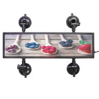 back off sign for car