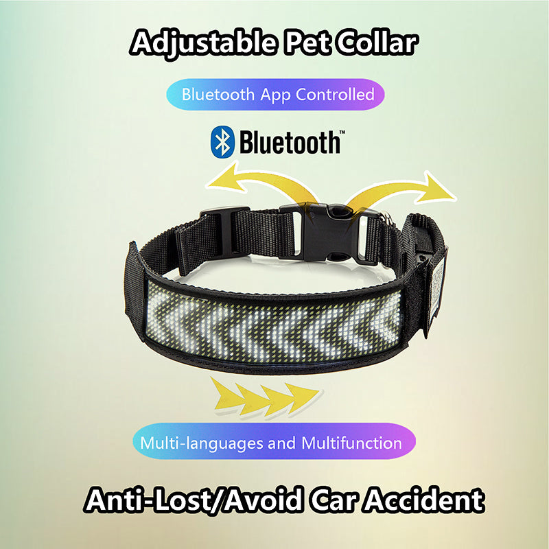 Leadleds LED Dog Collar USB Rechargeable Programmable Scrolling Text Night Safety White