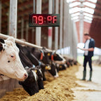 Outdoor LED clock and temperature sign with automatic brightness control
