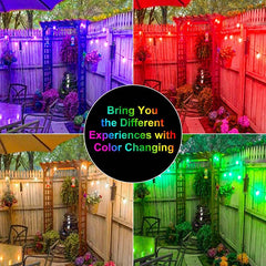UNTCENT Vintage Seasons LED Warm White RGBW Color Changing String Lights, 48ft