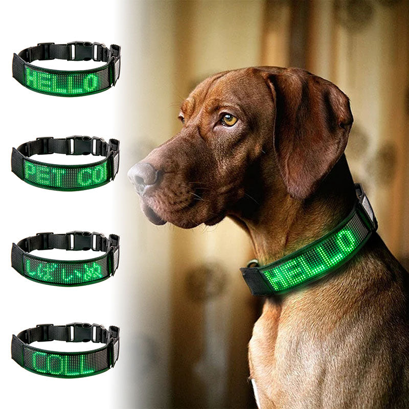 LED Dog Collar Light Flash Leopard Collar Rechargeable Programmable Scrolling Text Display