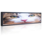 Leadleds 66x15in Roadside Signage Led Scrolling Message Display Board Full Color Led Video Screen