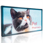 outdoor garden signs