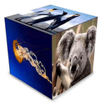 Leadleds Outdoor Led Cube Display HD Video Advertising Panel